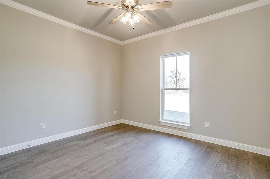 Empty room featuring light hardwood / wood-style flooring, plenty of natural light, ornamental molding, and ceiling fan