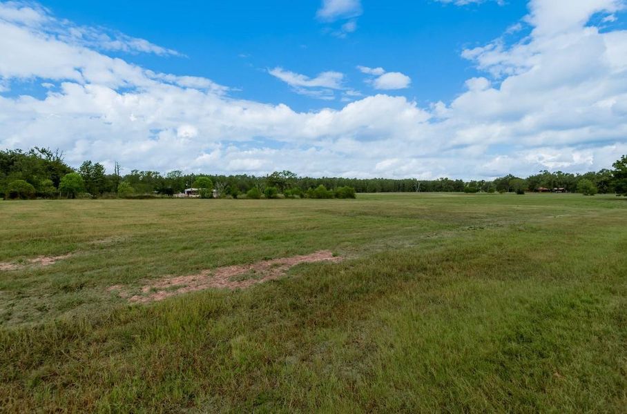Natural landscape and outdoor views near  in Groveton (Image 31).