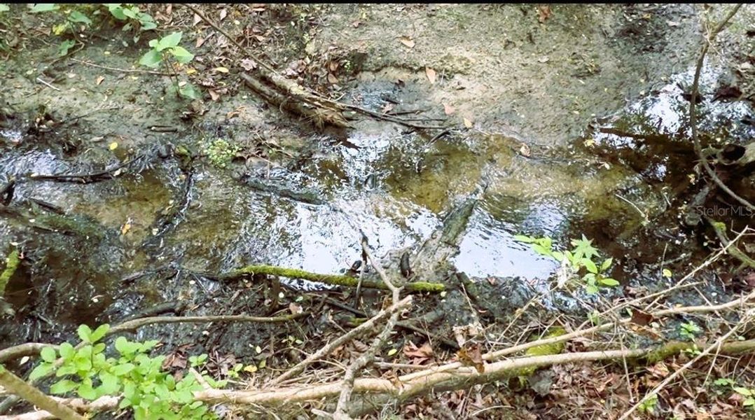 Natural landscape and outdoor views near  in White Springs (Image 58).