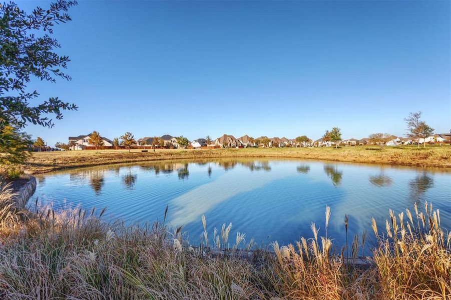 Catch & Release Ponds!