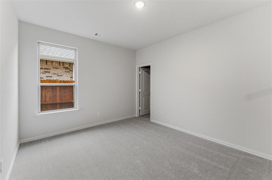 Carpeted room with light gray walls