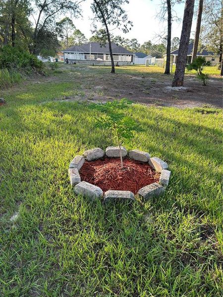 Image 22 of a home in Royal Highlands. Image 22 of a home in Royal Highlands.