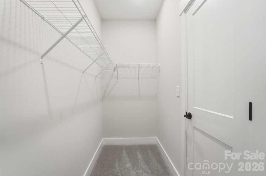 Walk in Closet