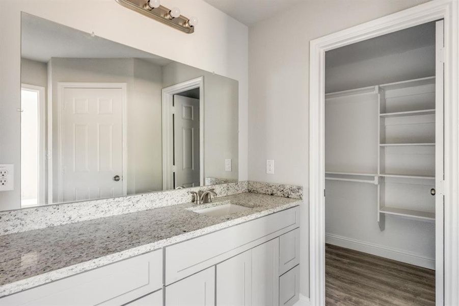 Bathroom featuring vanity, dark wood-type flooring, and a walk in closet