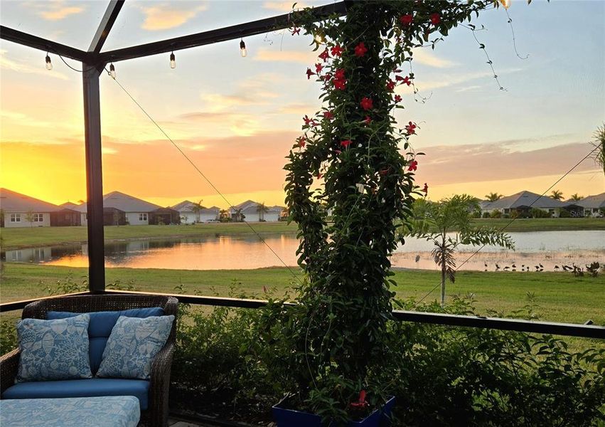 Community amenities in , Bradenton (Image 24). Community amenities in , Bradenton (Image 24).