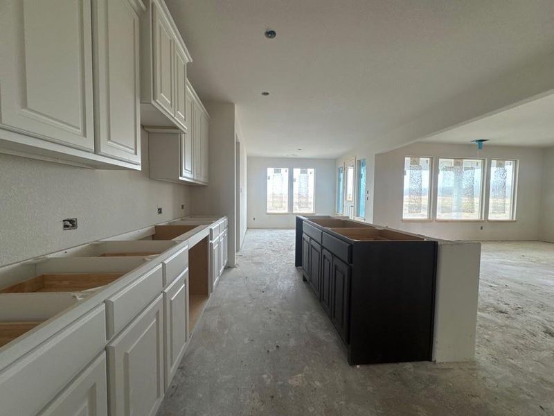 In-progress construction of a new home in Terra Escalante, Blue Ridge, TX (Image 3).