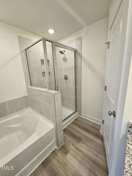 Master Bathroom Shower