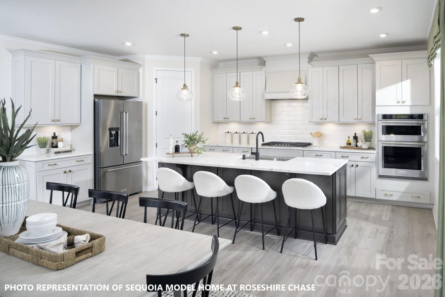 Photo is for representation purposes of floorplan only - colors, finishes, and options will vary