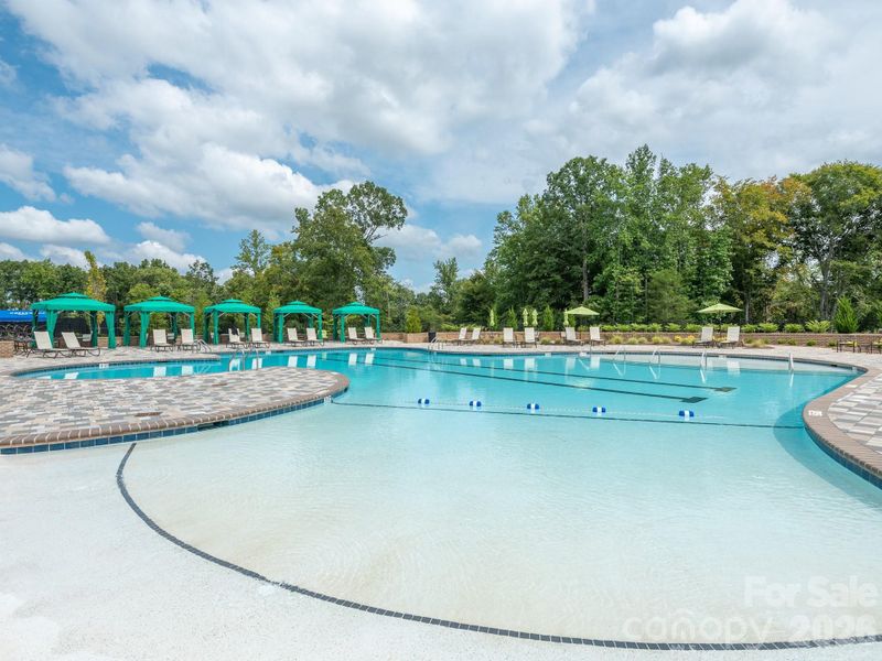 Community amenities in , Charlotte (Image 31). Community amenities in , Charlotte (Image 31).