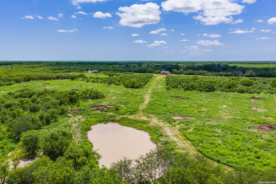 Natural landscape and outdoor views near  in Crystal City (Image 44).