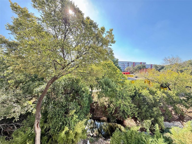 A tranquil water feature winds through verdant trees, offering a refreshing view.