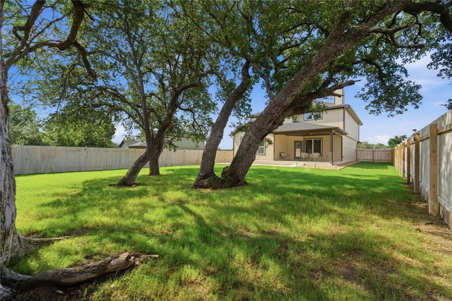 A verdant lawn unfolds behind a contemporary dwelling, shaded by mature trees and enclosed by privacy fencing. A verdant lawn unfolds behind a contemporary dwelling, shaded by mature trees and enclosed by privacy fencing.