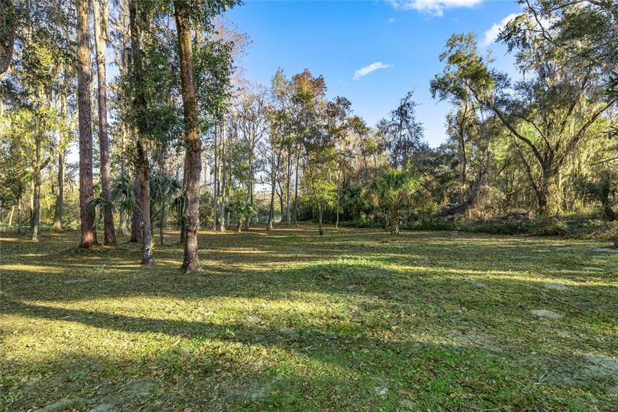 Natural landscape and outdoor views near  in Dunnellon (Image 38).