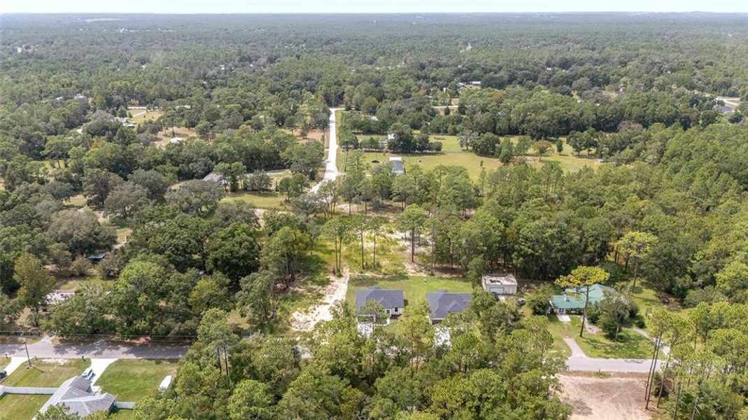 Natural landscape and outdoor views near  in Ocala (Image 42).