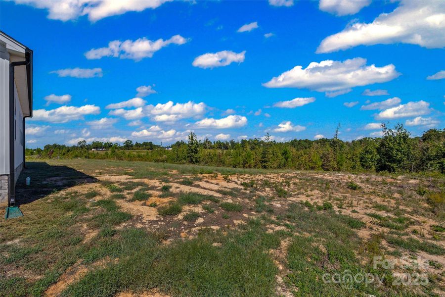 Natural landscape and outdoor views near  in Blackstock (Image 25).
