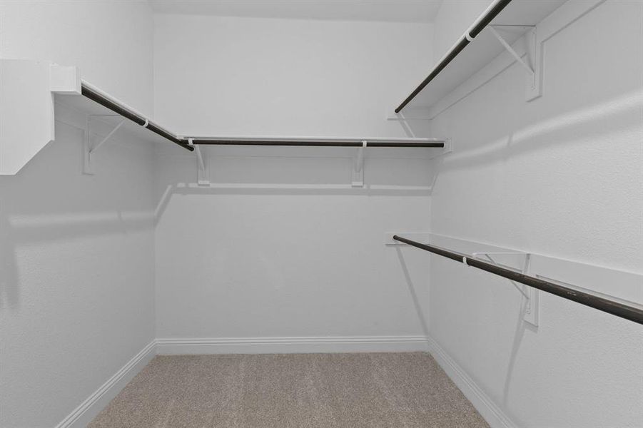 DAL_Painted Tree_Mineola_4020 Clingsman Way (23)