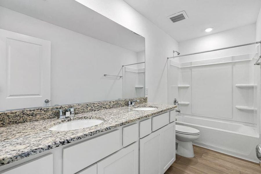 615 Yaupon Holly ~ Ready Now 615 Yaupon Holly ~ Ready Now