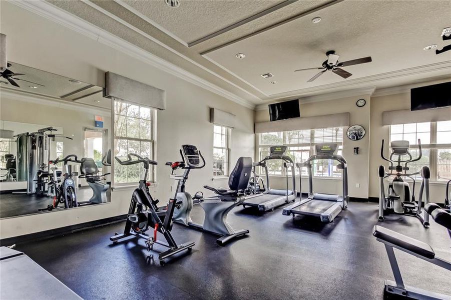 Community amenities in Lakes at Laurel Highlands, Lakeland (Image 66).