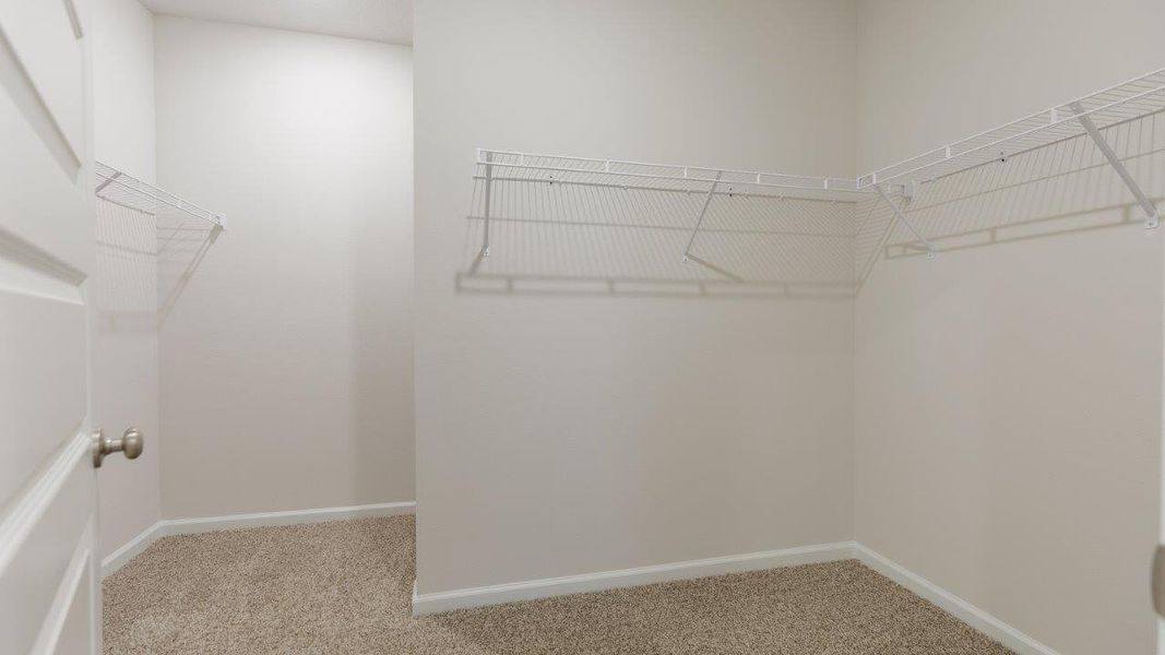 Representative unfurnished interior of a home built from the Plan by D.R. Horton in Greystone, Crawfordville (Image 19). Representative unfurnished interior of a home built from the Plan by D.R. Horton in Greystone, Crawfordville (Image 19).