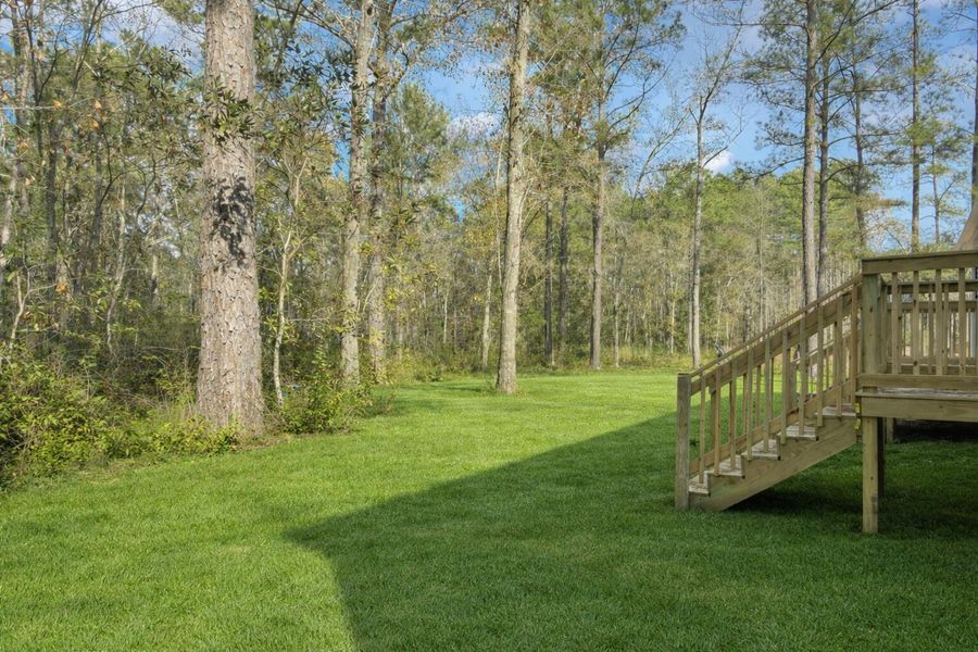 Natural landscape and outdoor views near  in Round O (Image 26).