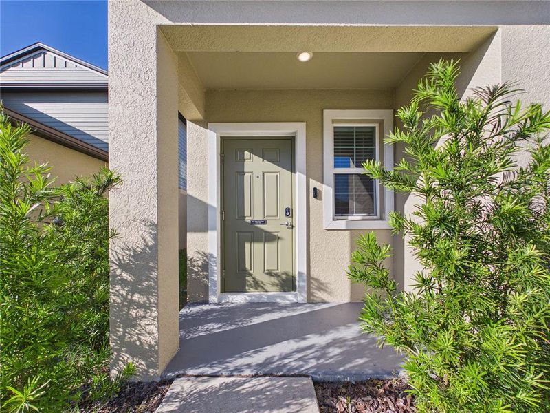 Exterior details and patio area of a home in Two Rivers, Zephyrhills (Image 3).