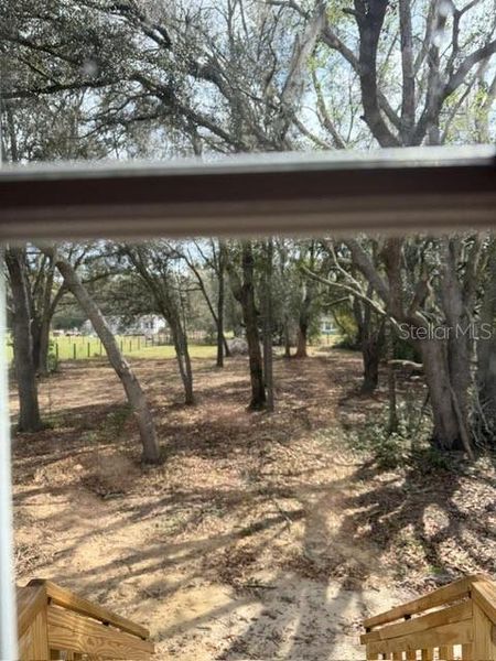 Natural landscape and outdoor views near  in Bronson (Image 24).