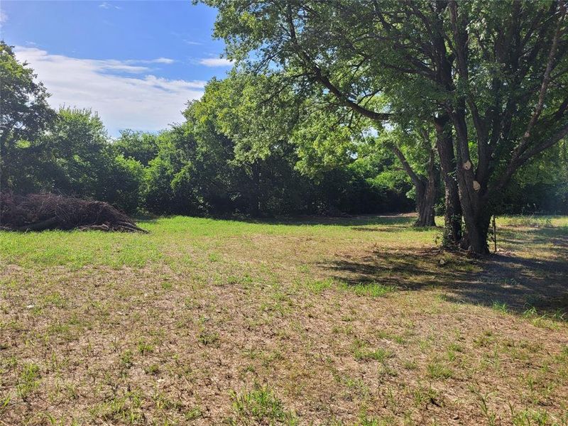 View of green lawn View of green lawn