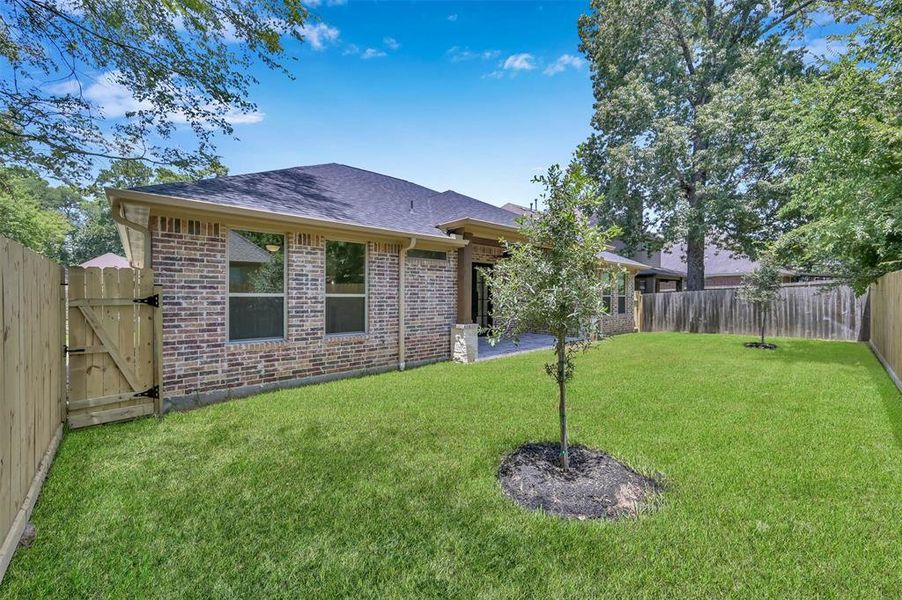 Fenced Back Yard