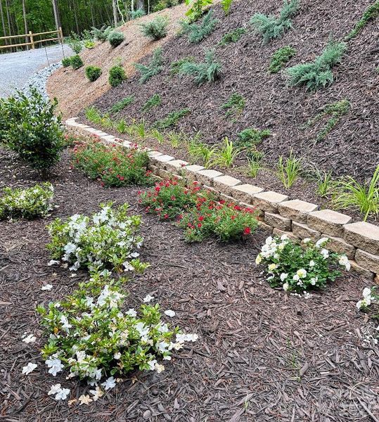 Azaleas & drift roses