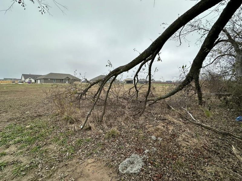 Natural landscape and outdoor views near Oak Valley in Oak Ridge (Image 19). Natural landscape and outdoor views near Oak Valley in Oak Ridge (Image 19).