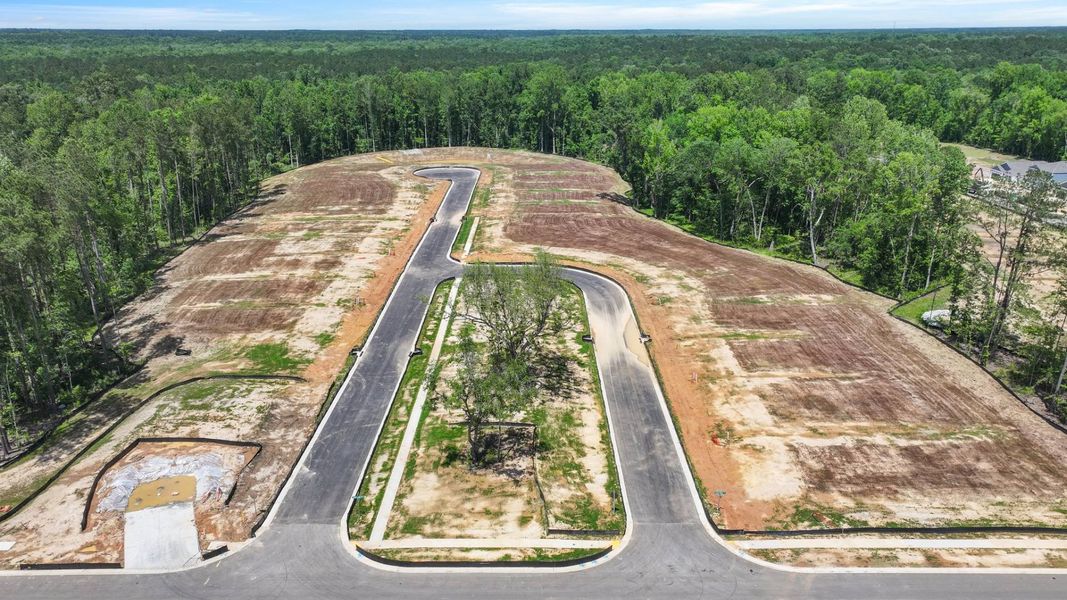 Site preparation for new homesites in Pineview North, Summerville (Image 24).
