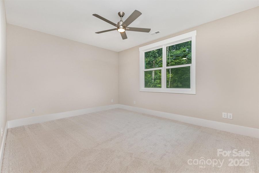 Lower Level Bedroom 3