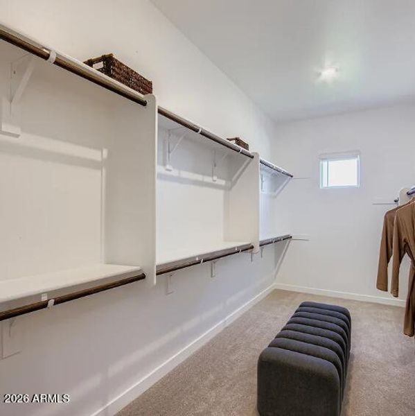 Owners Walk in Closet