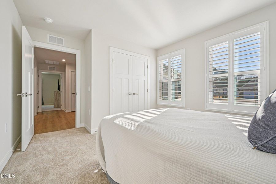 28-web-or-mls-matthiola-S1301-028