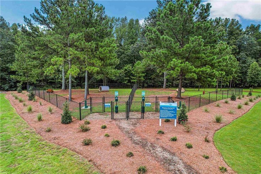 Community amenities in Twin Lakes, Hoschton (Image 43).