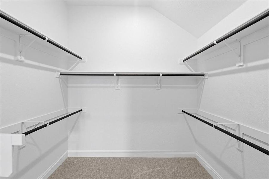 DAL_Painted Tree_Concord_3913 Attwater Street (21) DAL_Painted Tree_Concord_3913 Attwater Street (21)