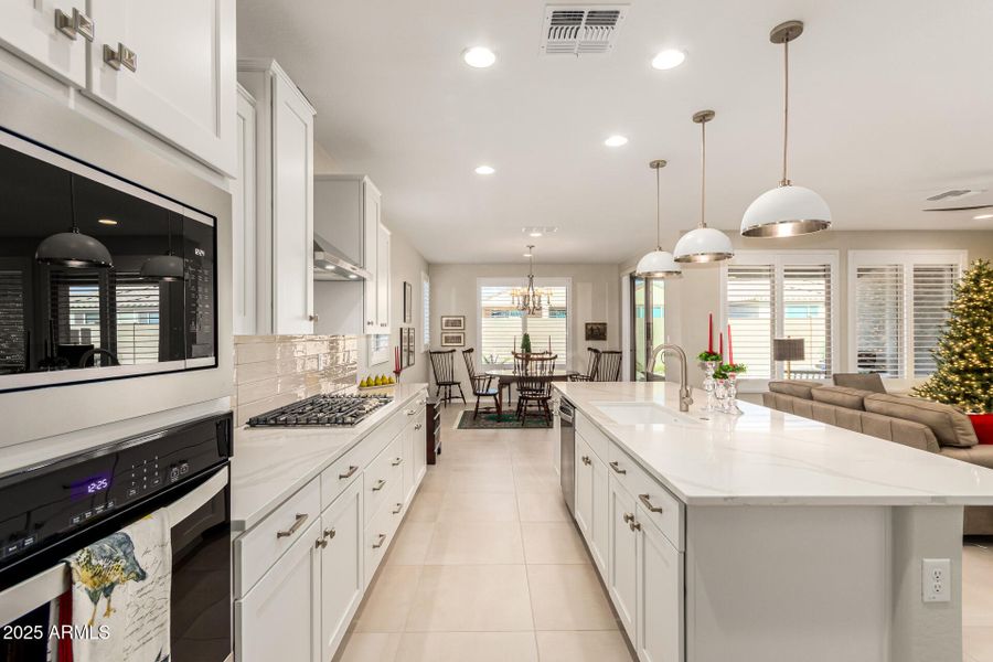 11-Cactus Wren 11-Cactus Wren