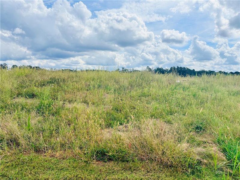 Natural landscape and outdoor views near Heritage Pointe at The Georgian in Villa Rica (Image 20).