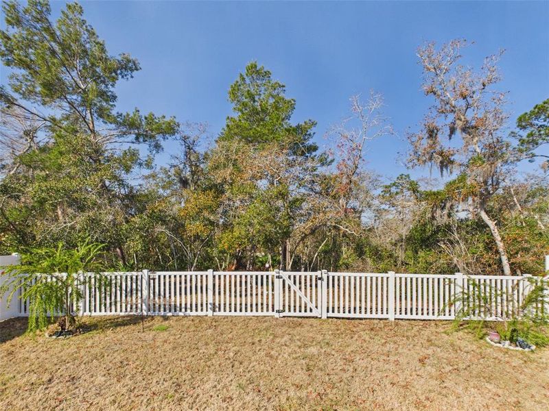 Exterior details and patio area of a home in Vineland Reserve, Osteen (Image 3).