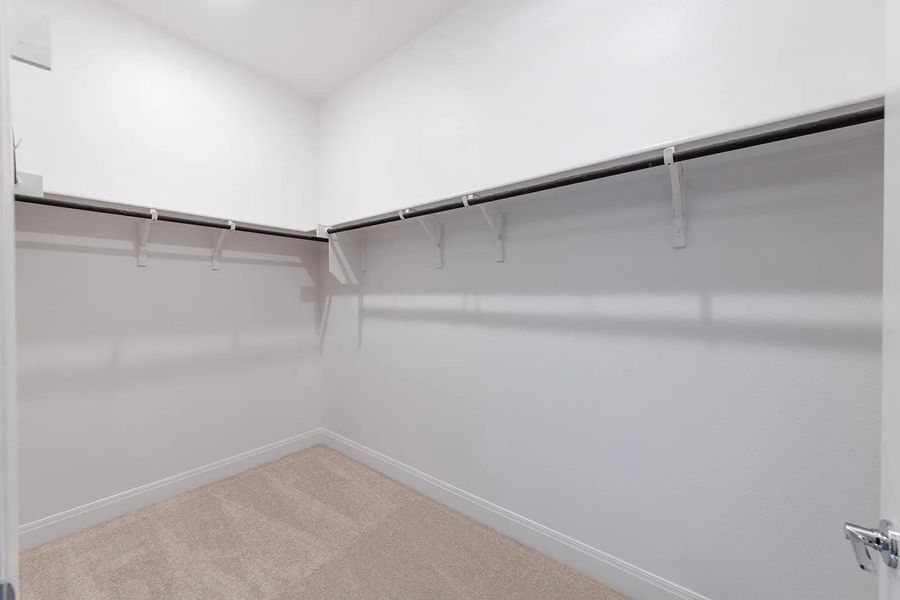 Spacious closet featuring light colored carpet
