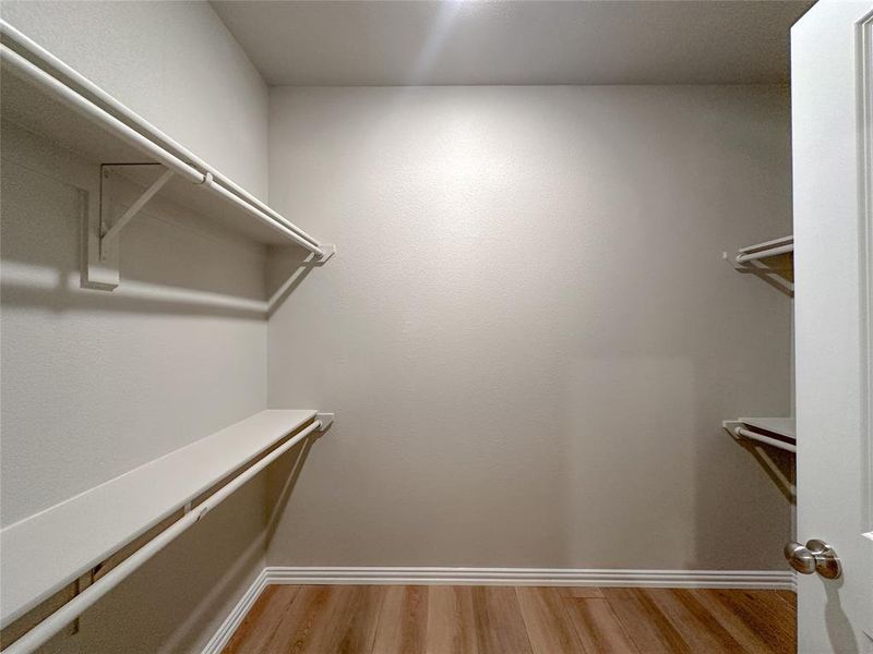 Spacious closet featuring light hardwood / wood-style floors