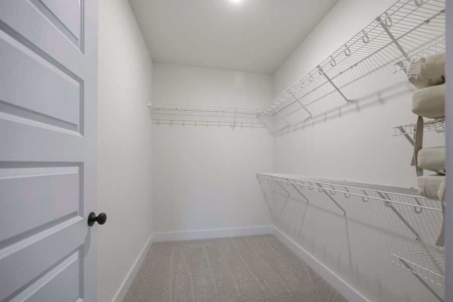 Primary Walk-in Closet - Photo of Model Home