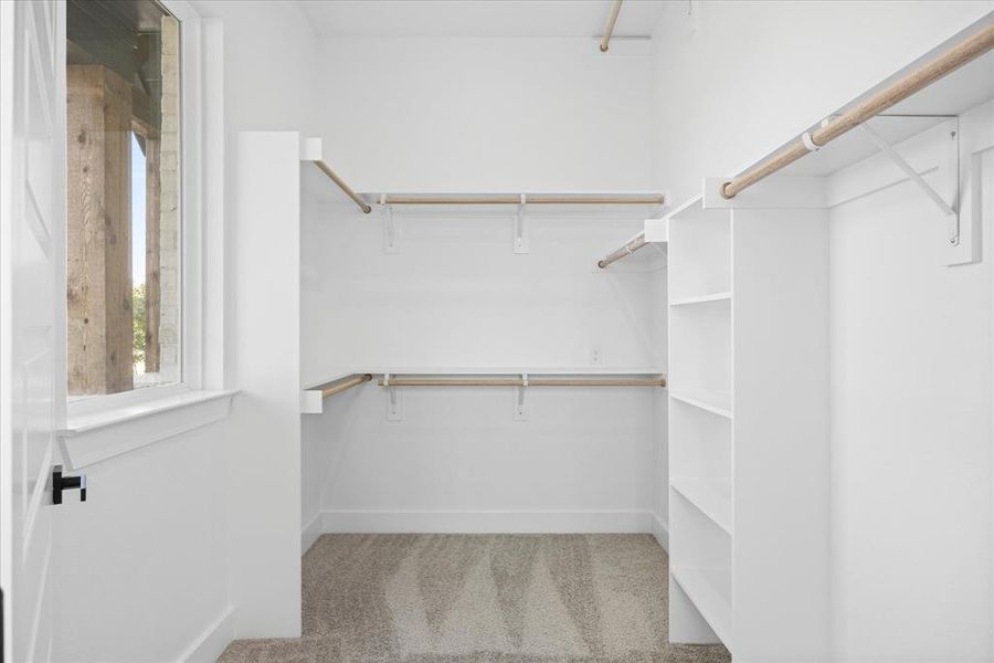 Walk-in Master closet featuring built-in shelving, multiple hanging rods, and neutral carpet flooring