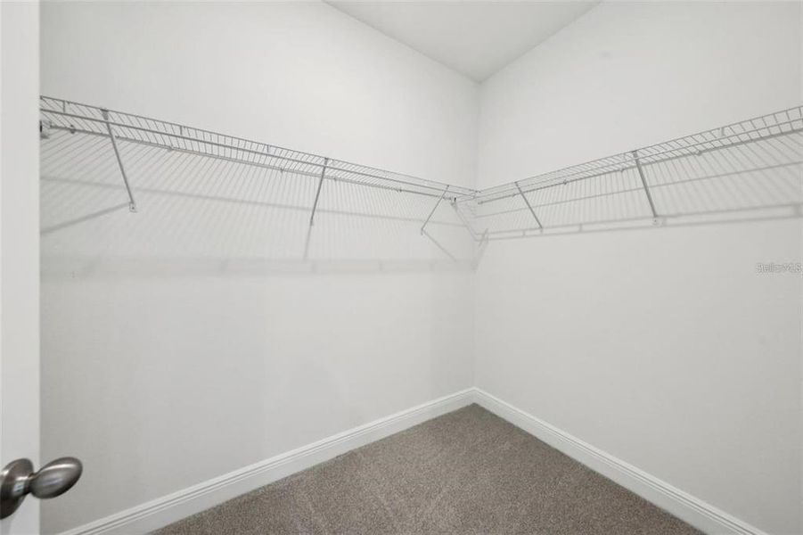 Spacious, unfurnished interior of a new home in Cyrene at Minneola, Minneola (Image 28).