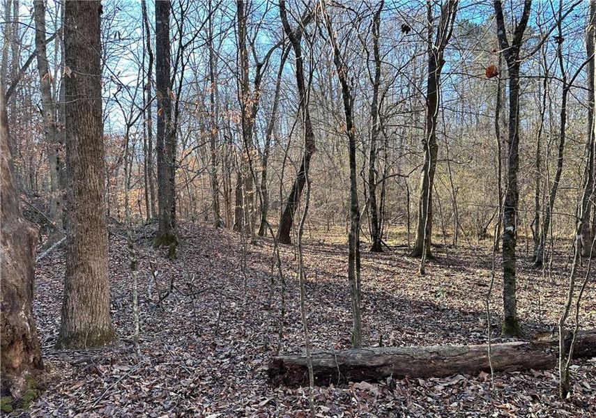 Natural landscape and outdoor views near  in Cumming (Image 27).