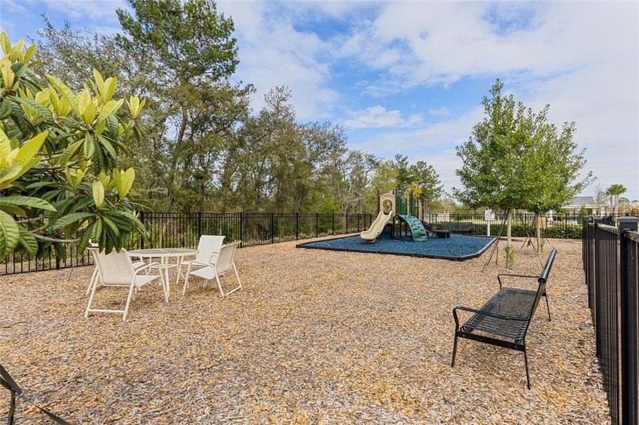 Community amenities in The Reserve at Victoria, Deland (Image 29).