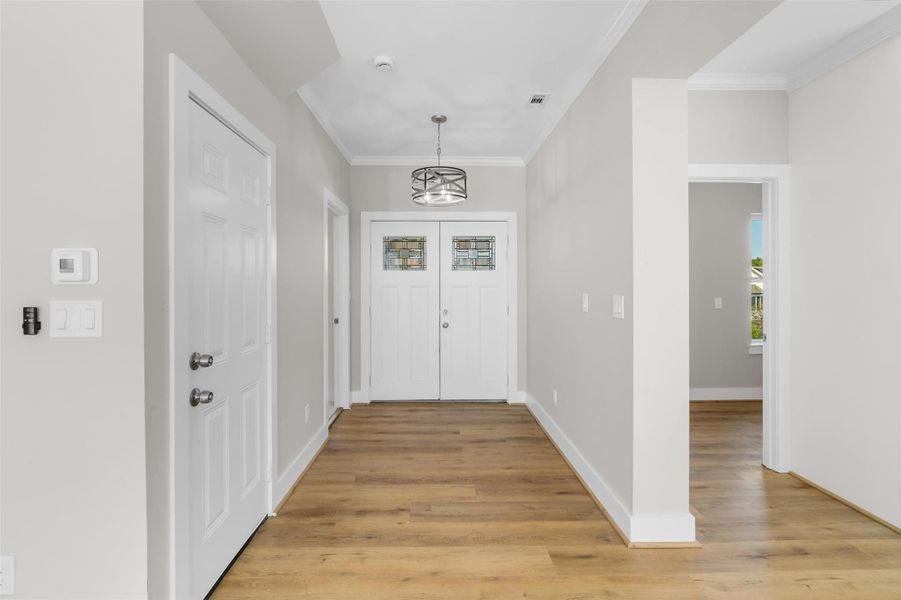 Double doors at the entryway, modern light fixture Double doors at the entryway, modern light fixture