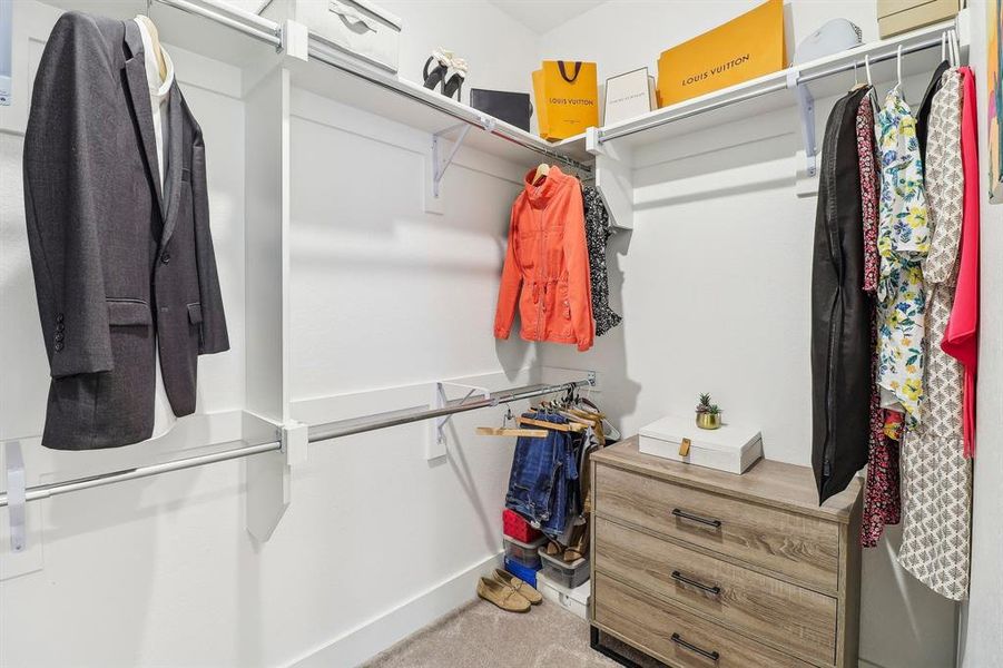 View of walk in closet View of walk in closet