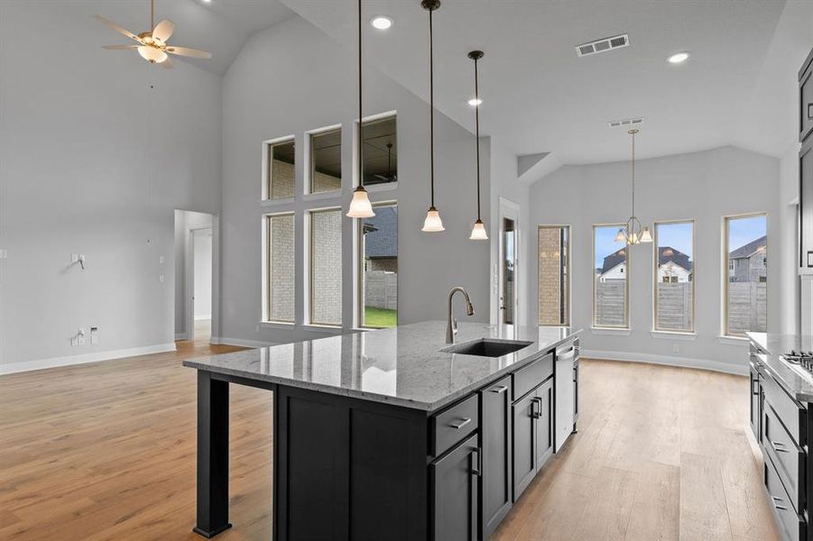 DAL_Painted Tree_Haskell II_4005 Gervais Drive (12)