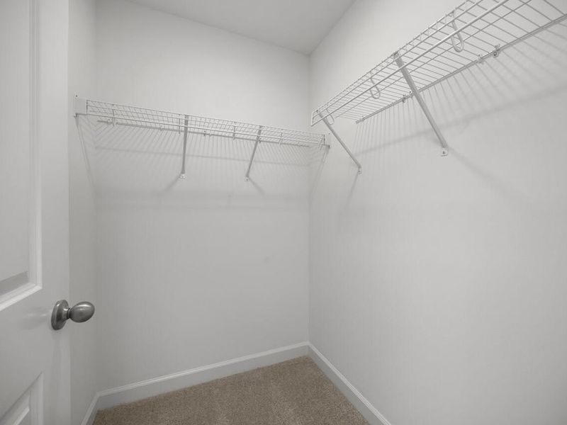 Spacious, unfurnished interior of a new home in Gregory Village, Lillington (Image 22).